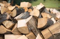 W Polsce będzie drożeć nie tylko węgiel, ale i drewno opałowe