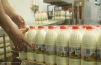 W Polsce może stanąć branża mleczarska. Powód – brak CO2 i suchego lodu 